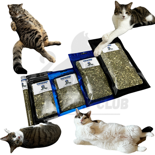 Elevate Playtime with TopCatnip© - A Purr-fect Choice for Your Feline Friends!