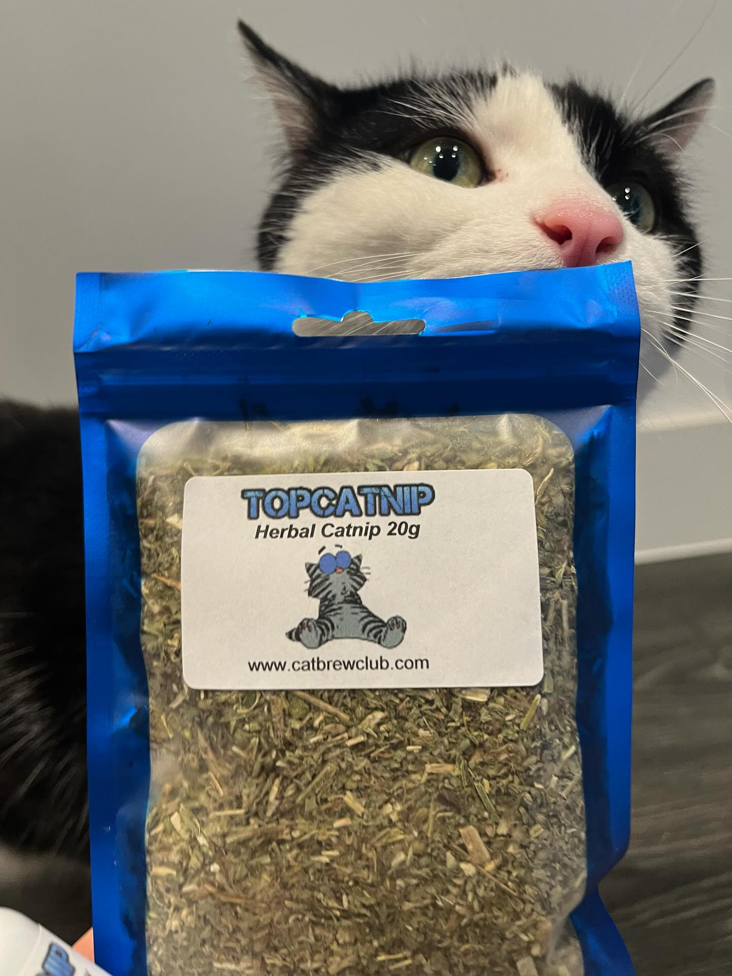 TopCatnip© - Premium Canadian Rough Cut Catnip Leaf & Bud - Extra Strong Organic - Cat Brew Club