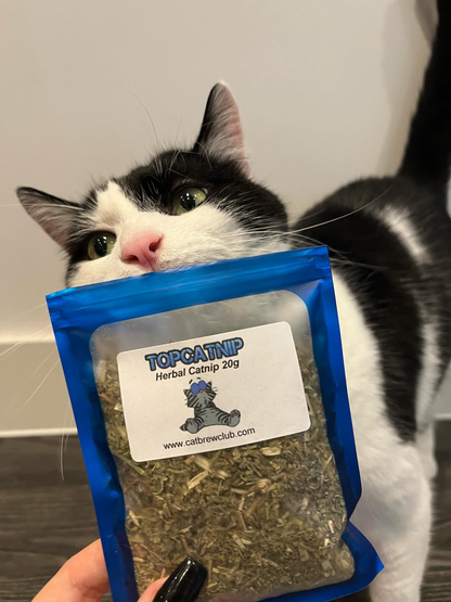 TopCatnip© - Premium Canadian Rough Cut Catnip Leaf & Bud - Extra Strong Organic - Cat Brew Club