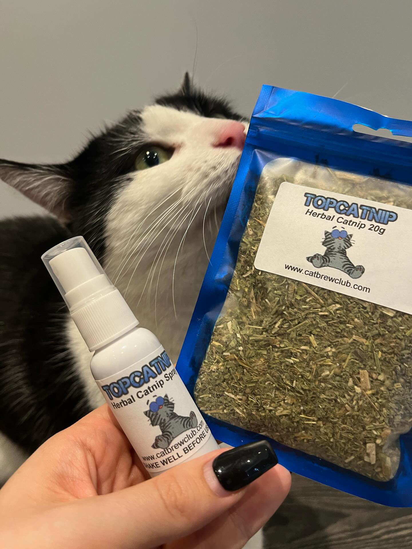 TopCatnip© - Organic Herbal Catnip Spray for Kitten Toys & Scratch Posts 30ml - Cat Brew Club