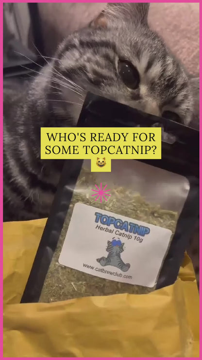 TopCatnip© - Premium Canadian Rough Cut Catnip Leaf & Bud - Extra Strong Catnip